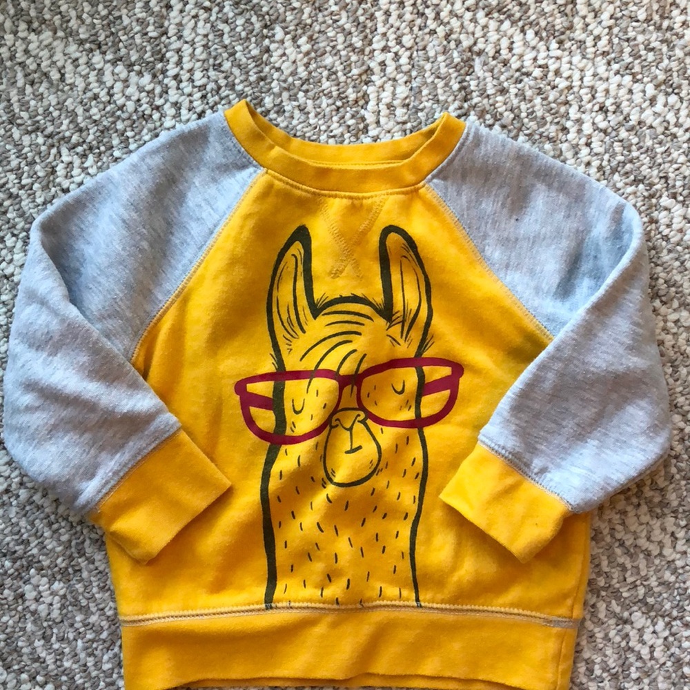 Cat and Jack sweater baby toddler